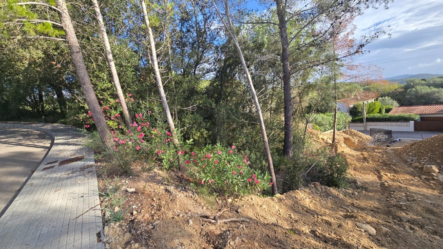  for sale plot Campanet Raiguer 7