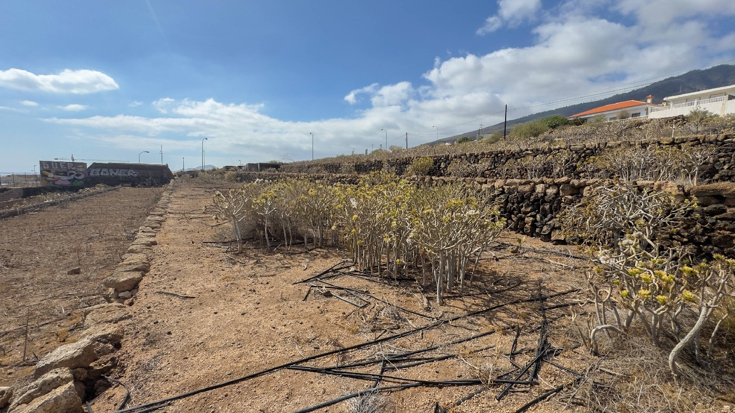  te koop perceel Candelaria Zona Sureste 8