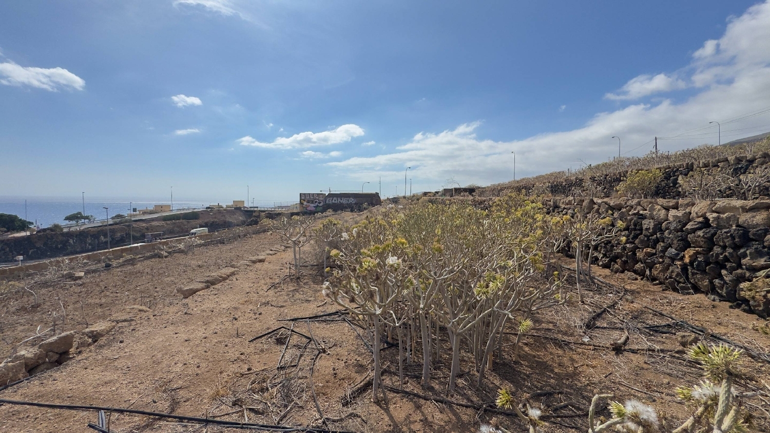  te koop perceel Candelaria Zona Sureste 5