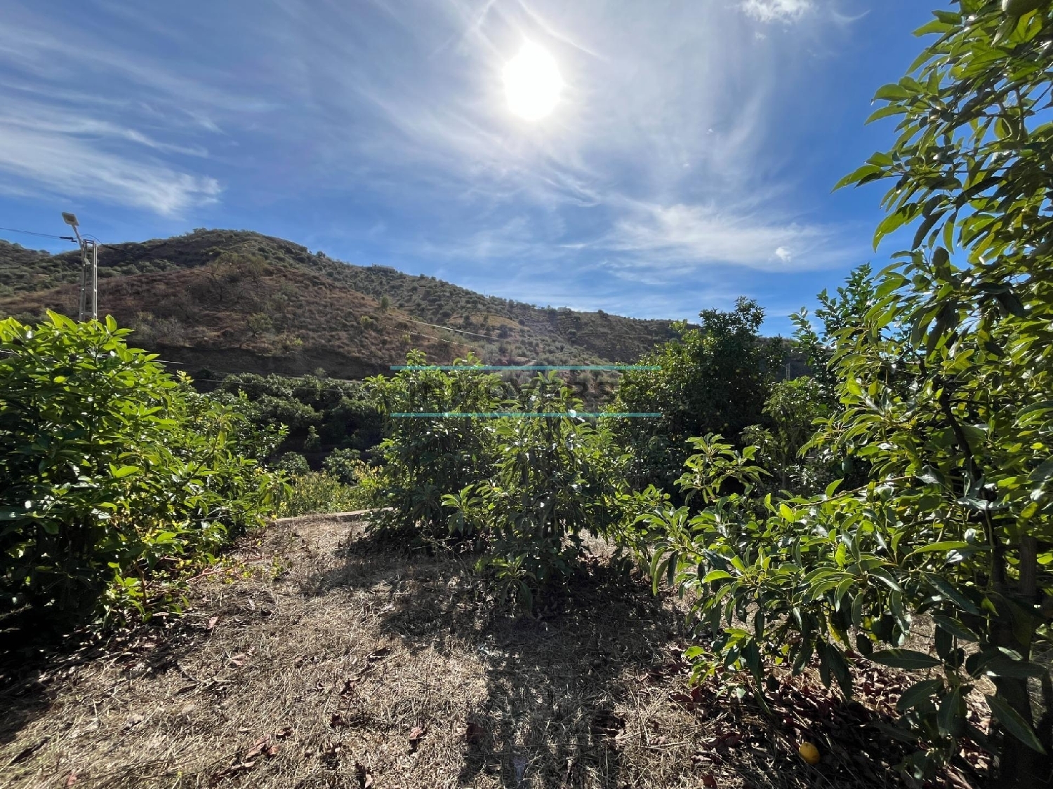  for sale plot Canillas De Aceituno Axarquía 2