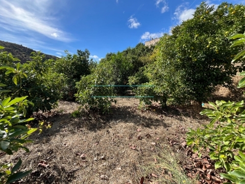 Canillas De Aceituno Axarquía plot foto 6321081