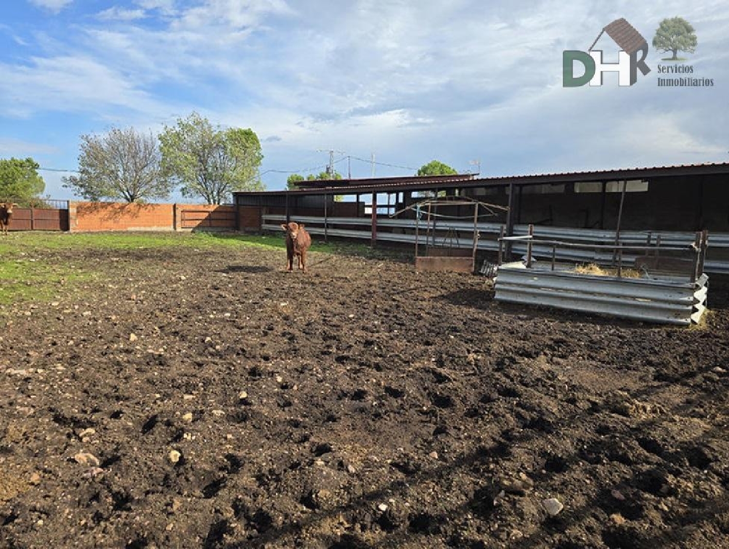  en venta terreno Casar De Cáceres Tajo-Salor 2