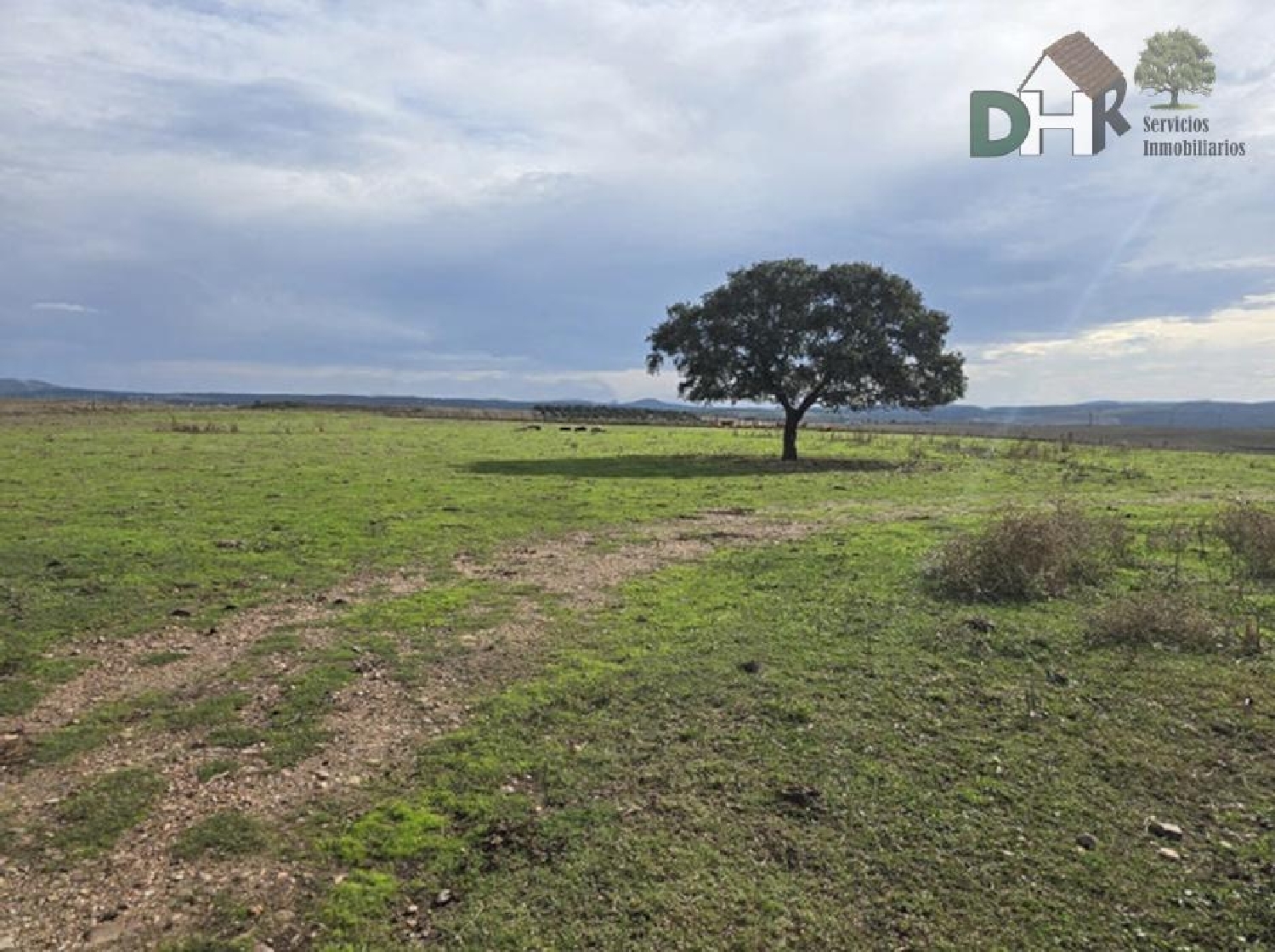  en venta terreno Casar De Cáceres Tajo-Salor 7
