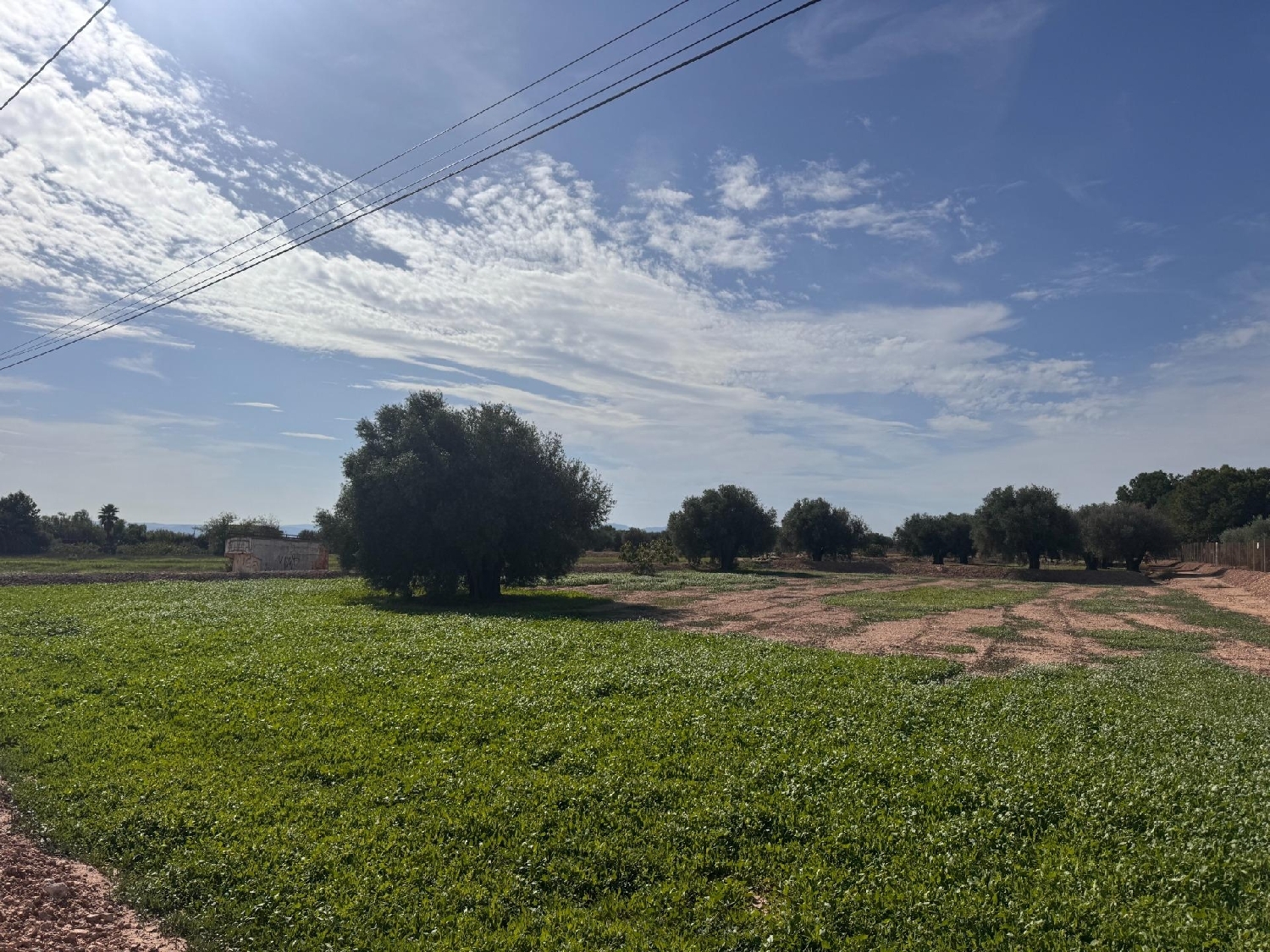 till salu tomt Crevillent Baix Vinalopó 2