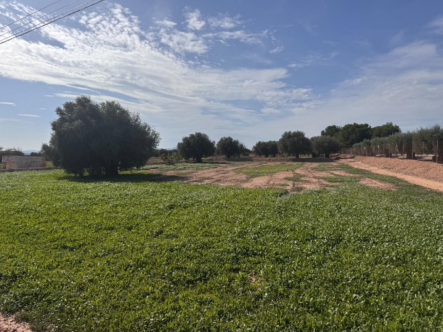 till salu tomt Crevillent Baix Vinalopó 3