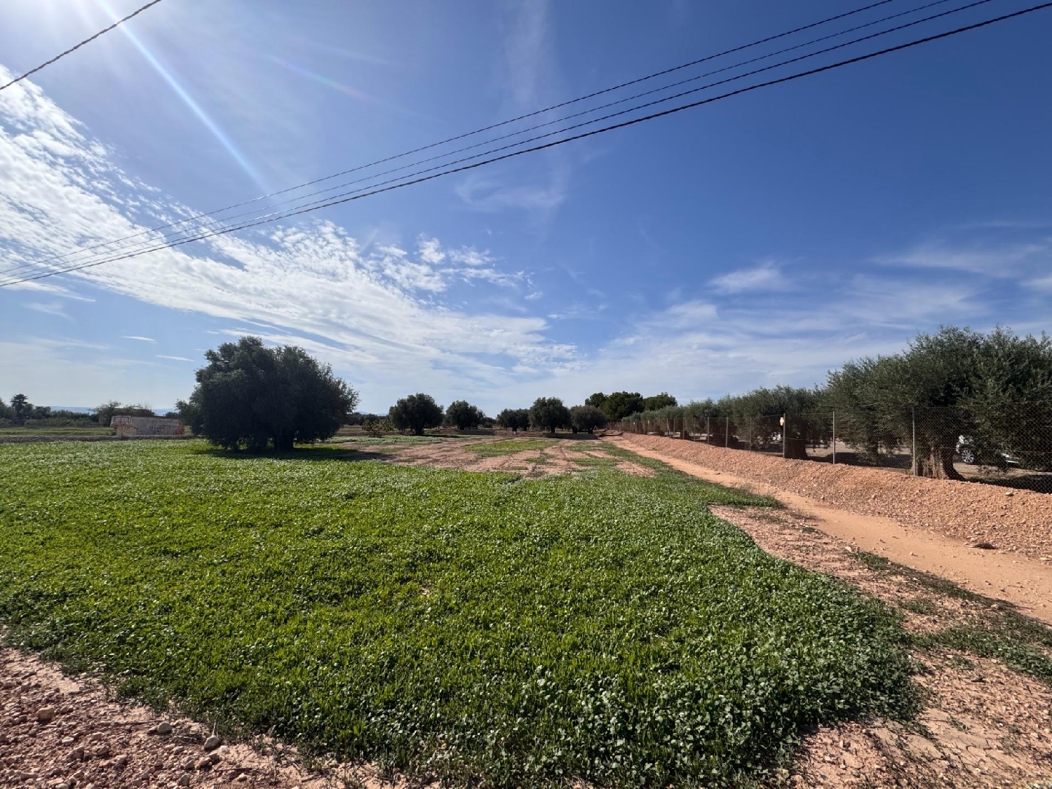 till salu tomt Crevillent Baix Vinalopó 1