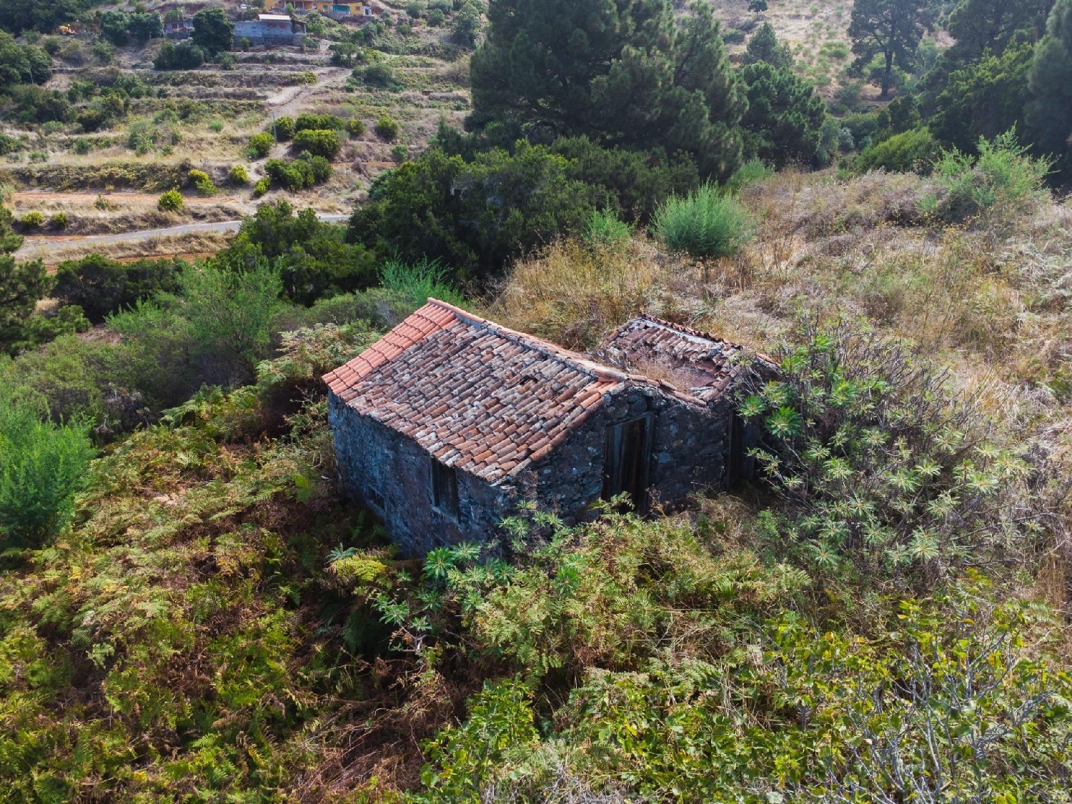  till salu tomt Garafía Palma (La) 8