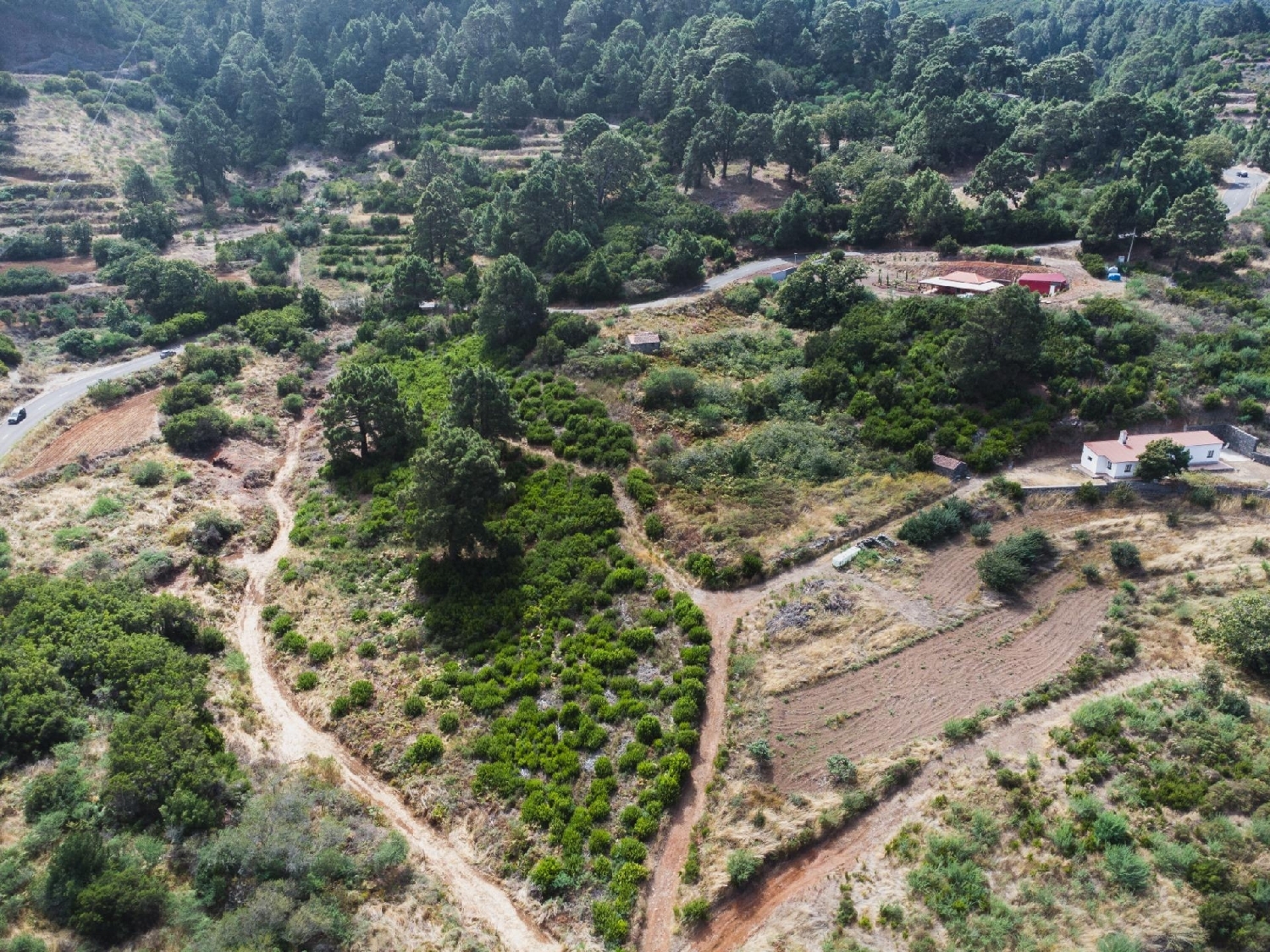  till salu tomt Garafía Palma (La) 5