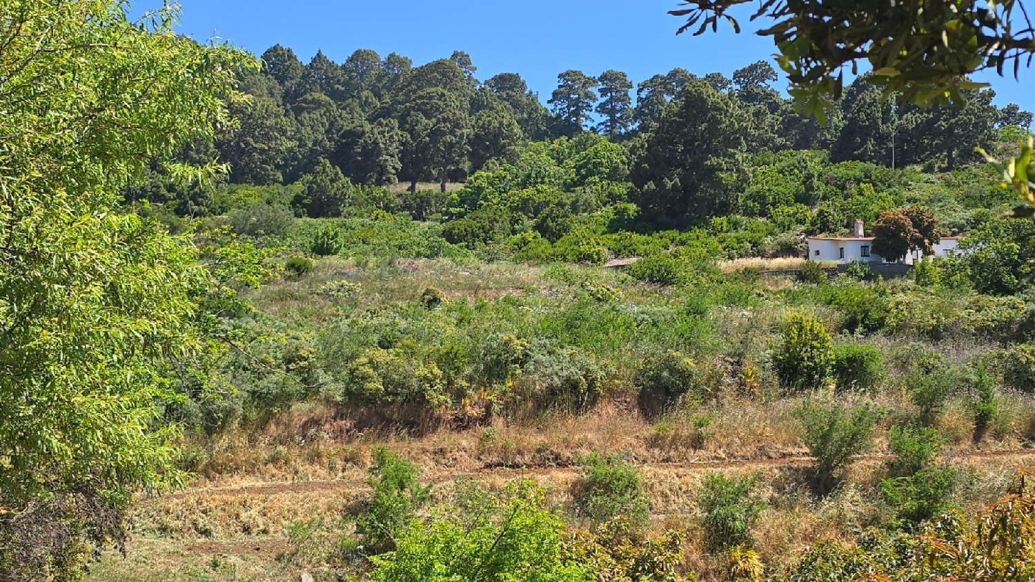  till salu tomt Garafía Palma (La) 6