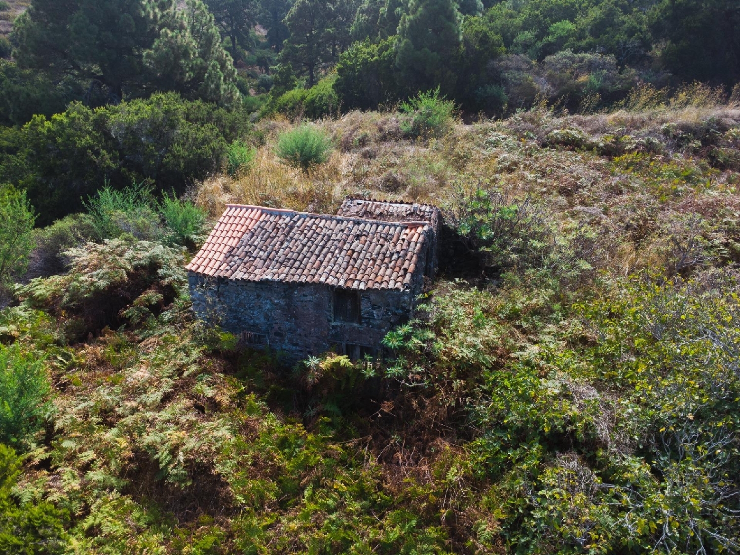  till salu tomt Garafía Palma (La) 7