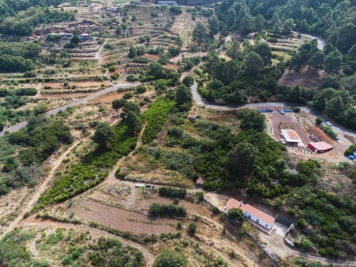 Garafía Palma (La) terrain foto 6323169