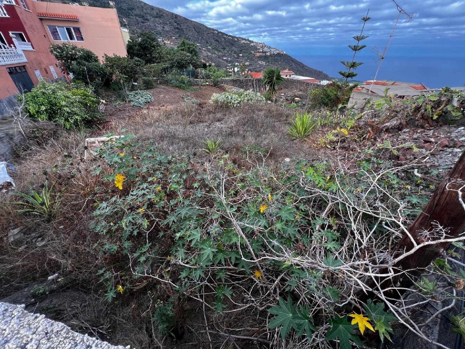  kaufen Grundstück Icod De Los Vinos Zona Norte 3