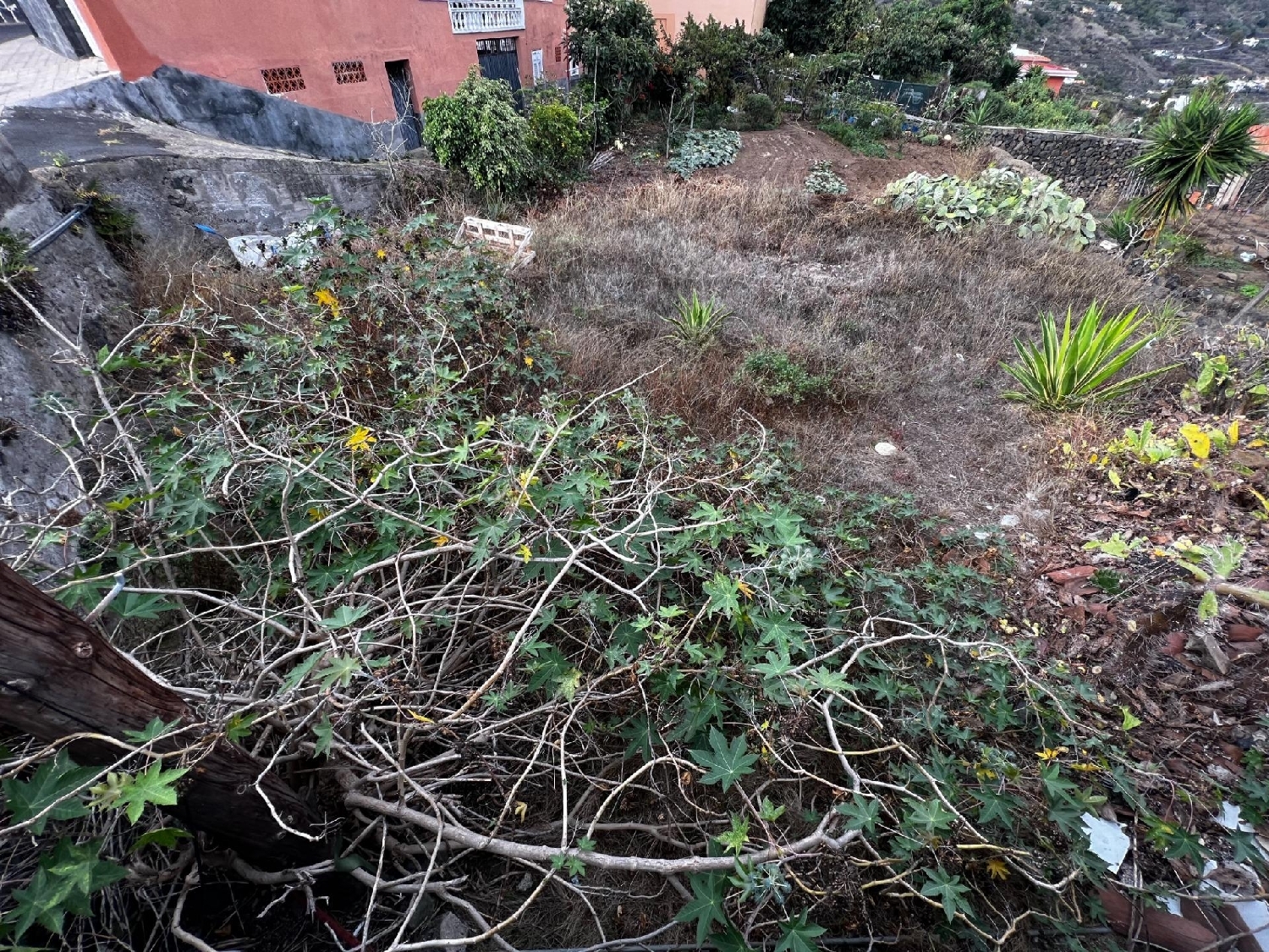  kaufen Grundstück Icod De Los Vinos Zona Norte 4