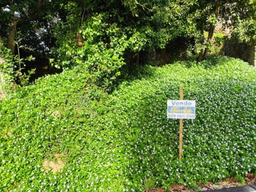 Malpica De Bergantiños Bergantiños plot foto 6323168