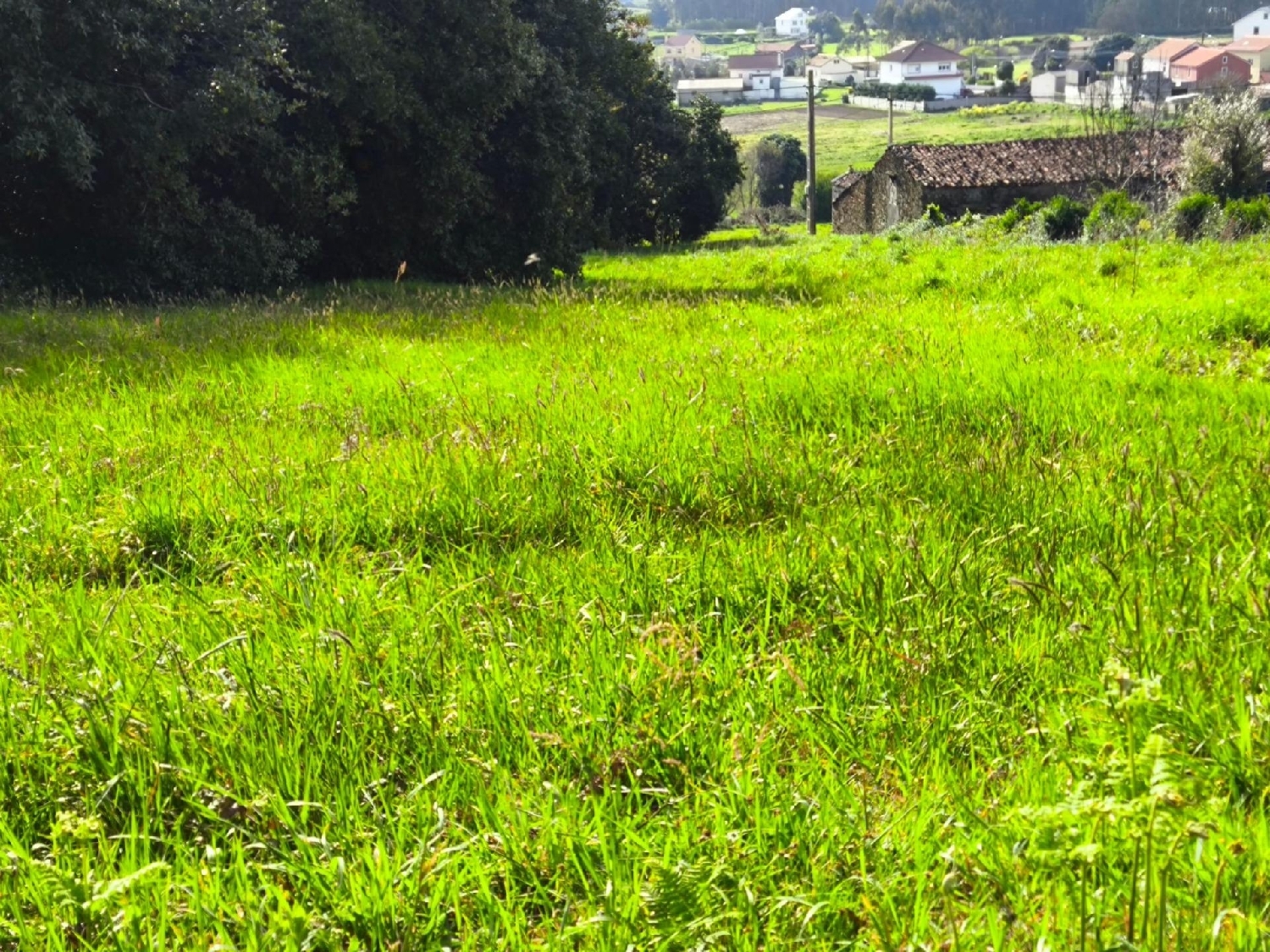  for sale plot Malpica De Bergantiños Bergantiños 4