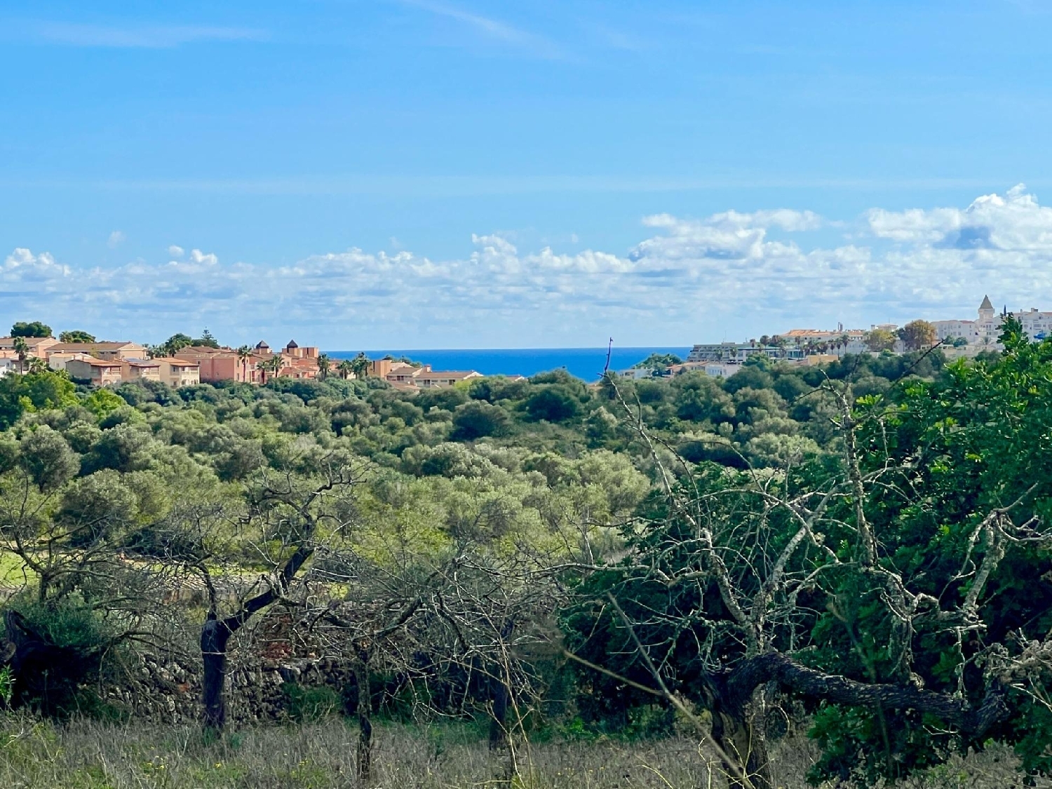  for sale plot Manacor Llevant 8