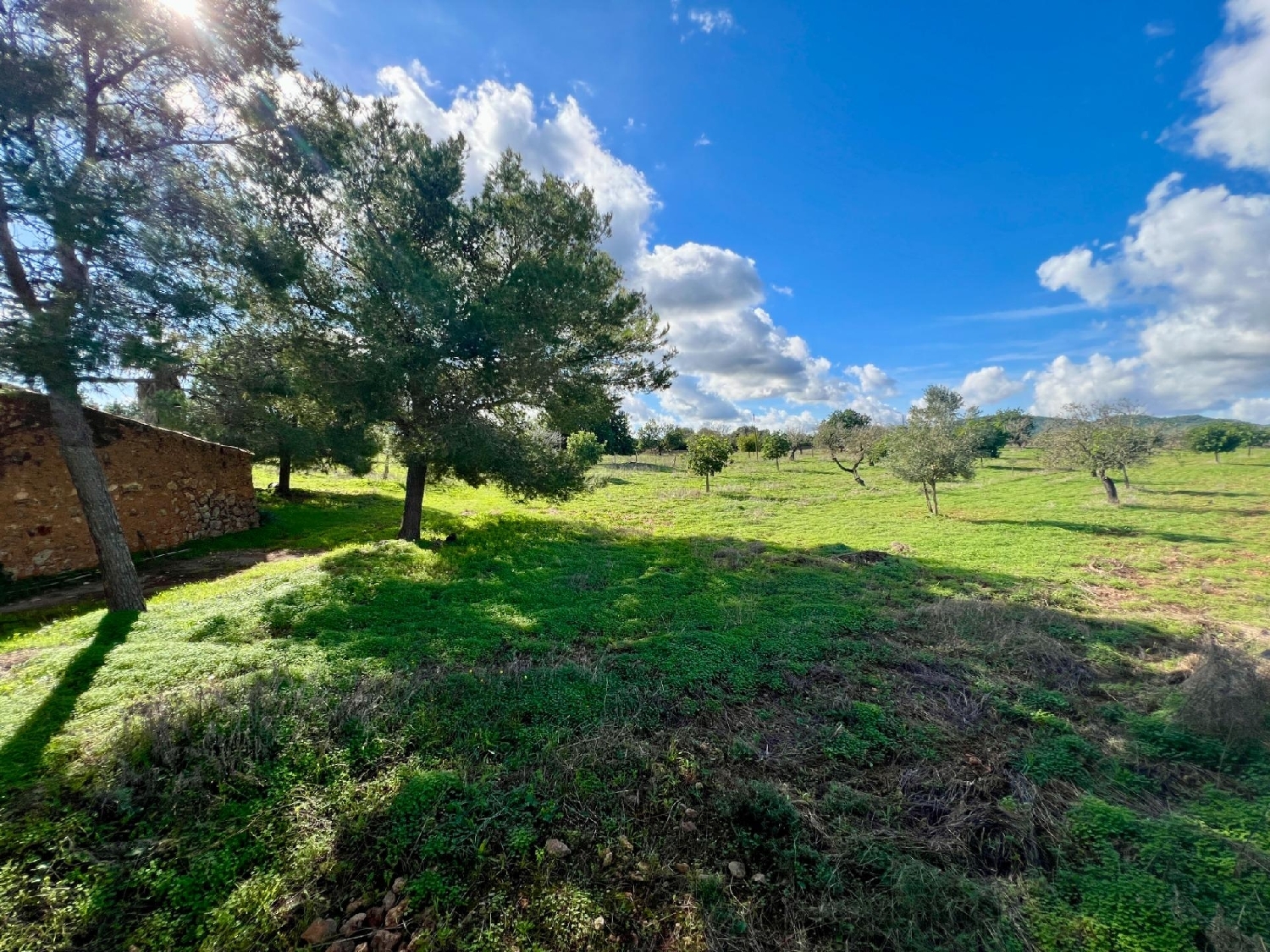  for sale plot Manacor Llevant 8