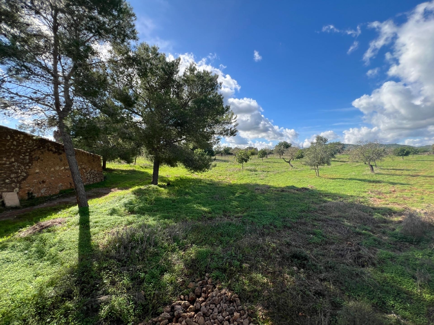  for sale plot Manacor Llevant 7