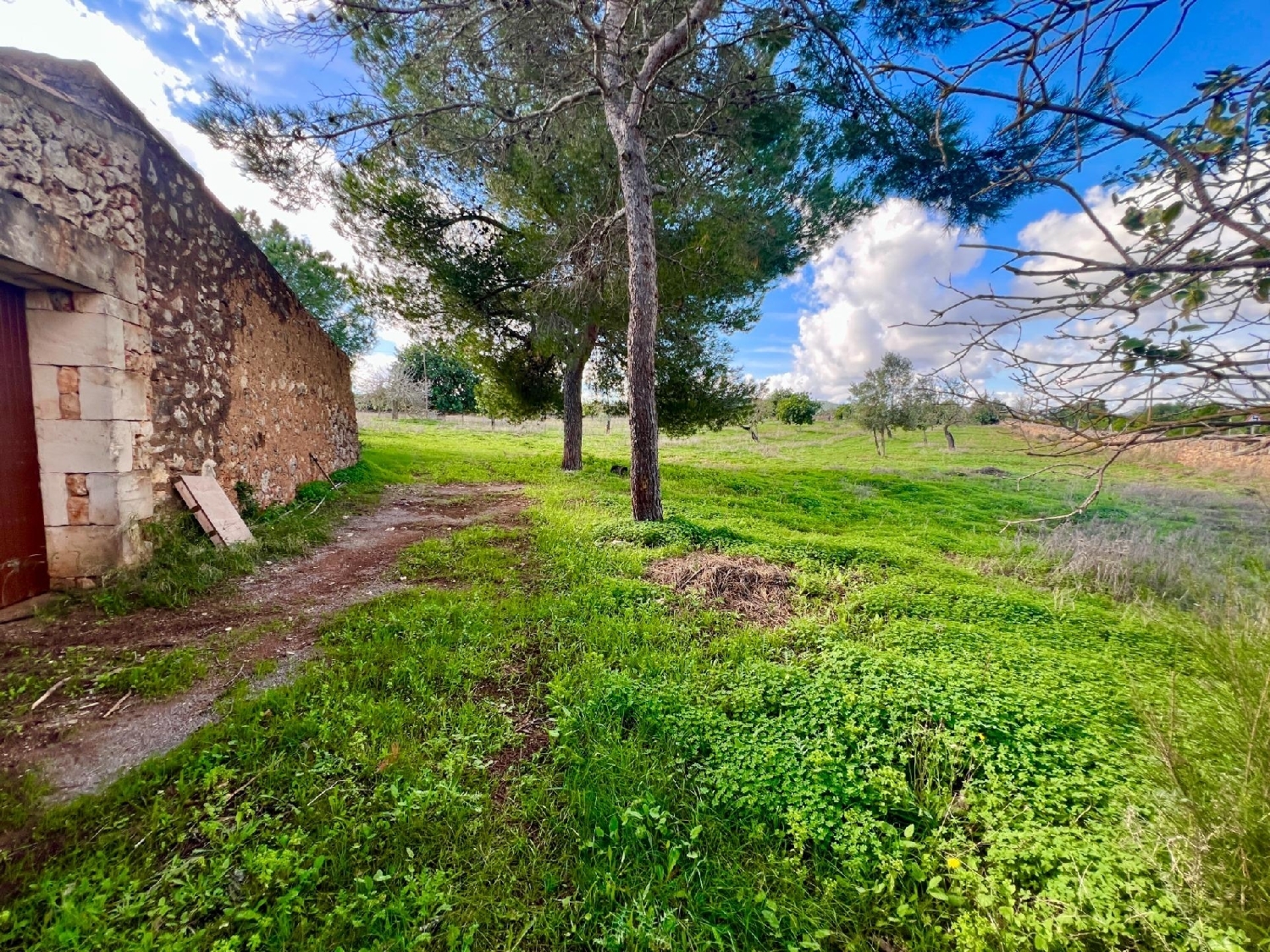  for sale plot Manacor Llevant 3