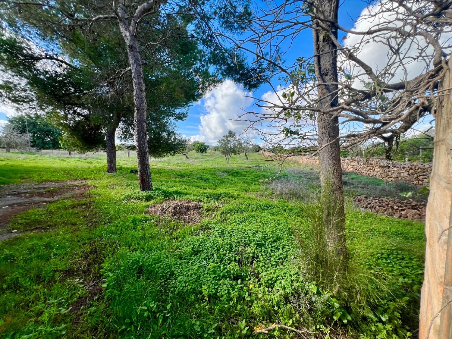  for sale plot Manacor Llevant 4