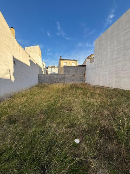 Molina De Segura Vega Media Del Segura plot foto 6320264