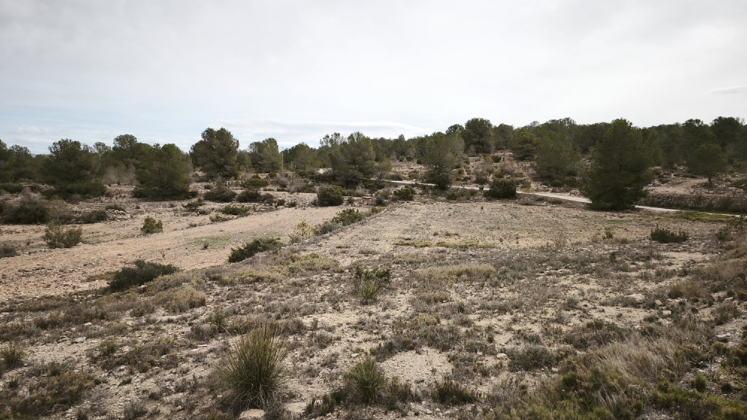 till salu tomt Monóvar Vinalopó Mitjà 4