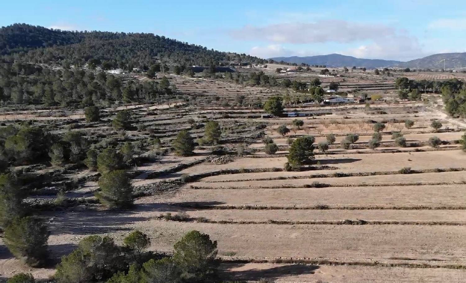 till salu tomt Monóvar Vinalopó Mitjà 1