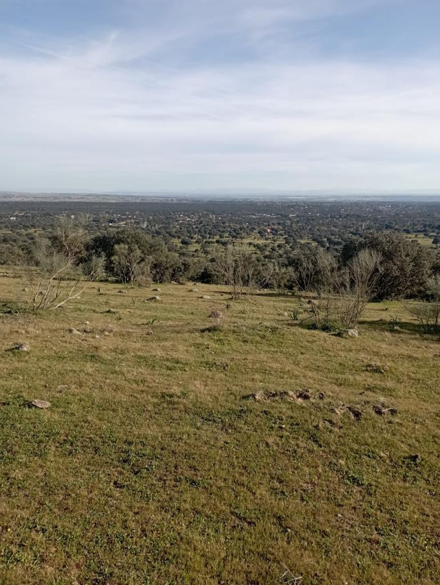  en venta terreno O Toledo Ribeiro 1