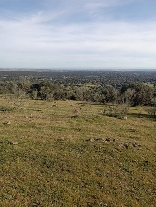 O Toledo Ribeiro terreno foto 6323730