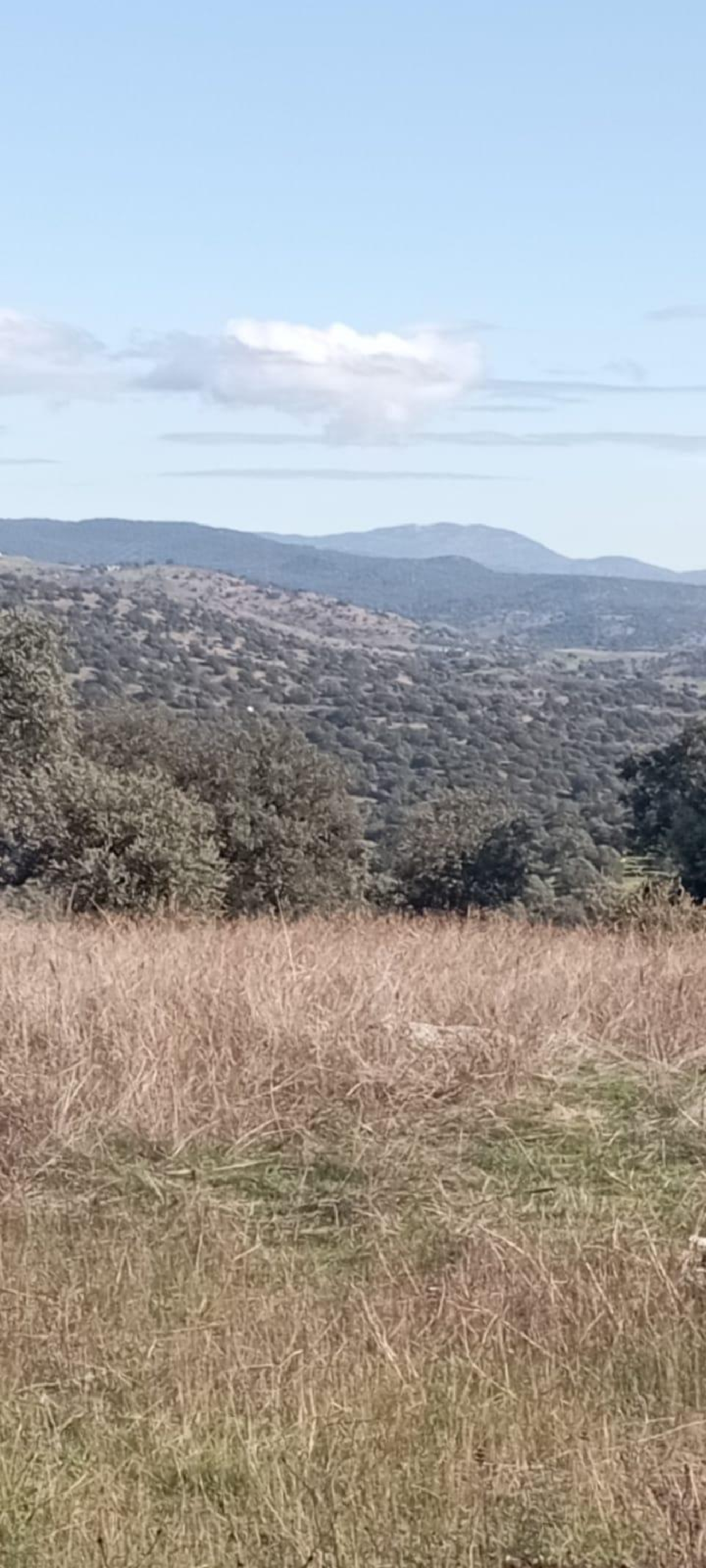  en venta terreno O Toledo Ribeiro 3