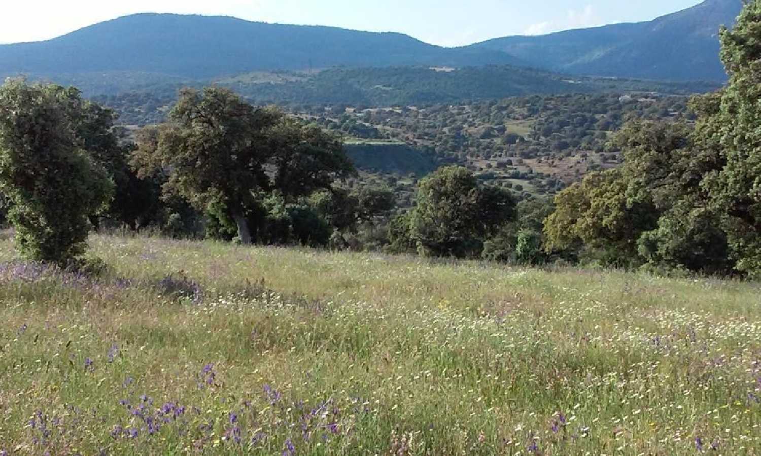  en venta terreno O Toledo Ribeiro 1