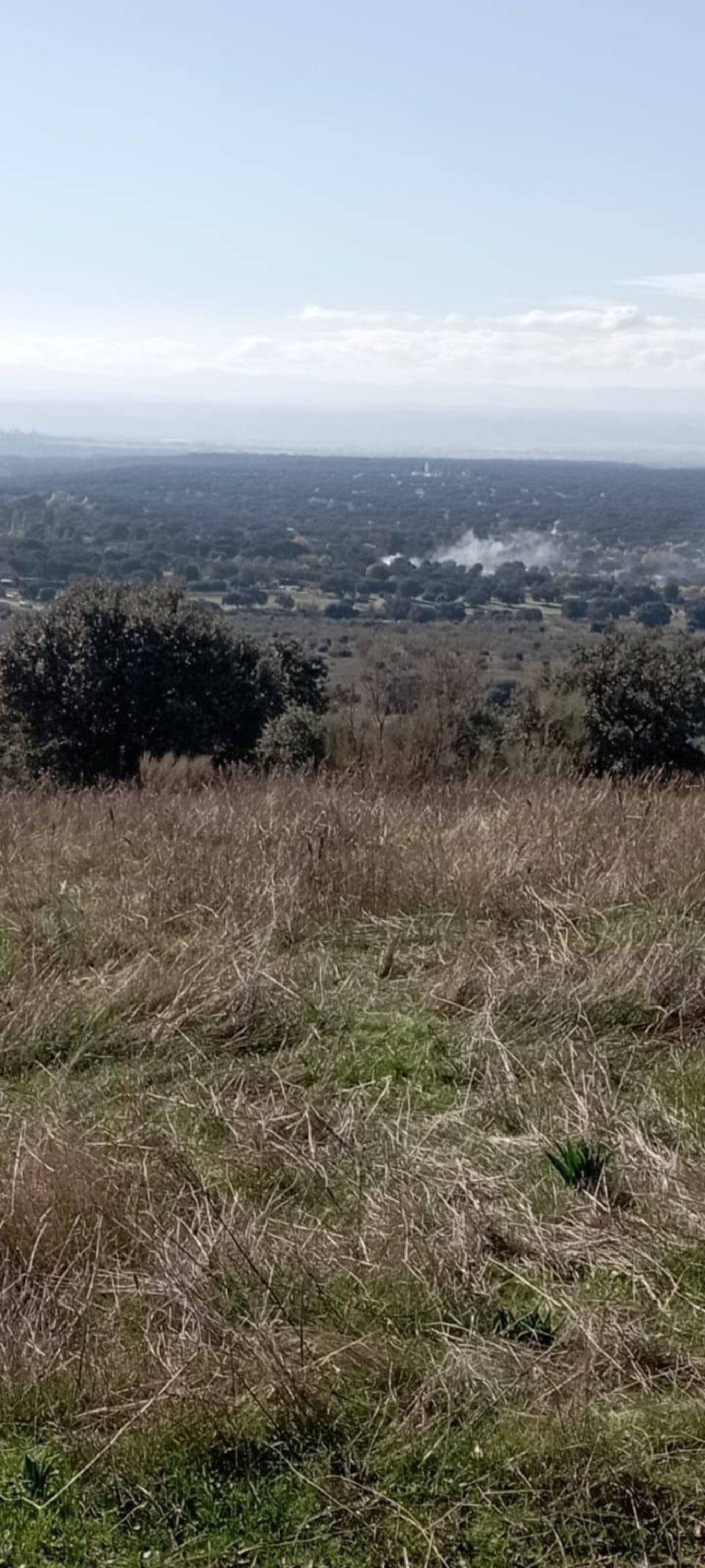  en venta terreno O Toledo Ribeiro 4