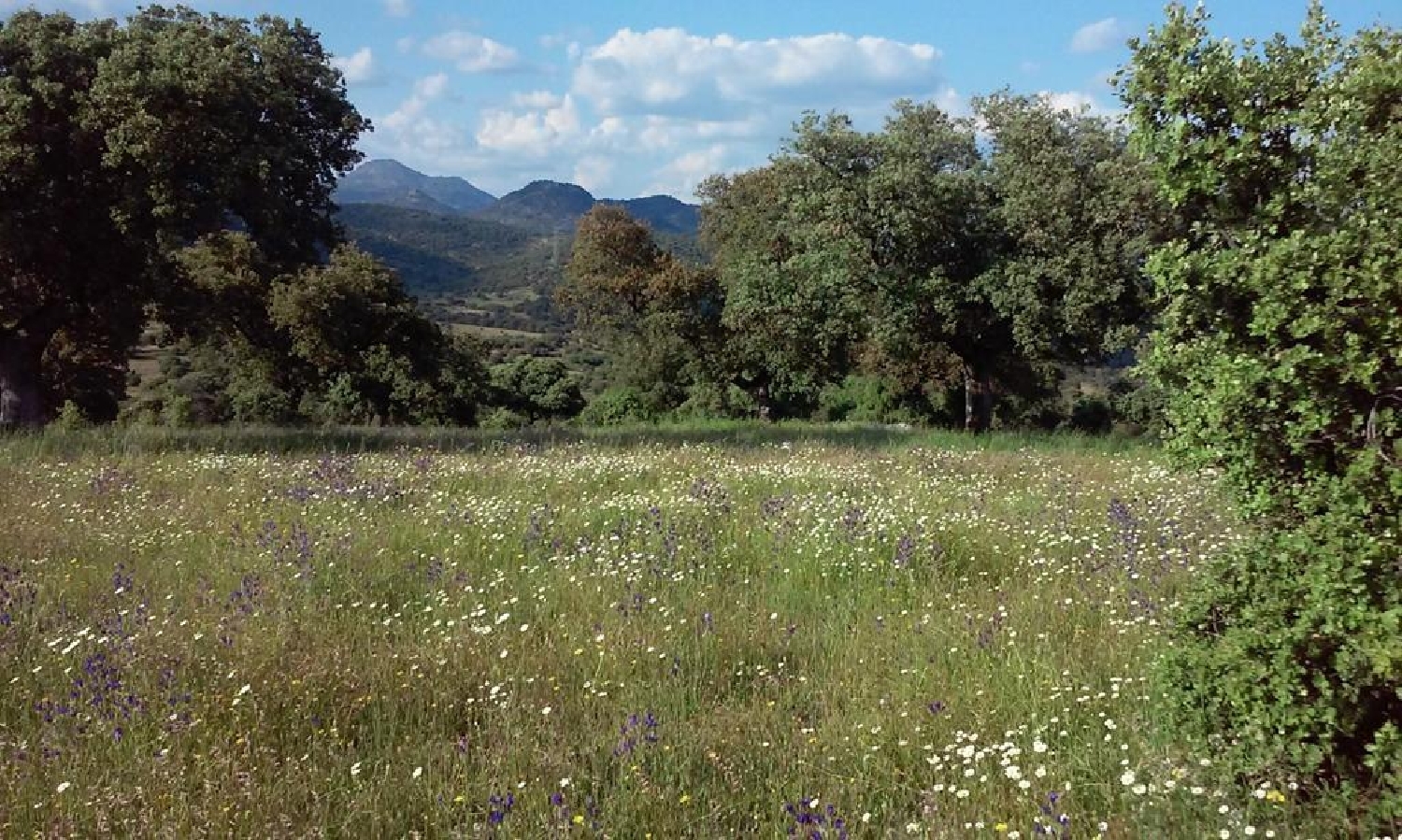  en venta terreno O Toledo Ribeiro 2