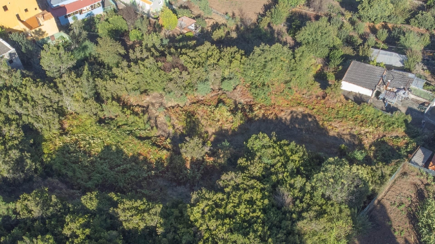  en venta terreno Orotava Palma (La) 8