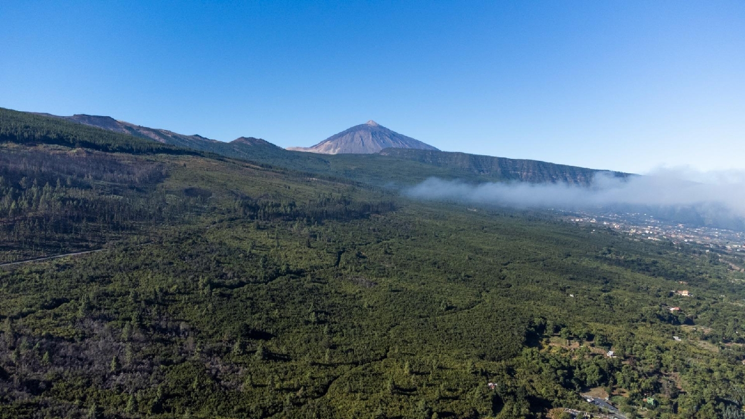  en venta terreno Orotava Palma (La) 1