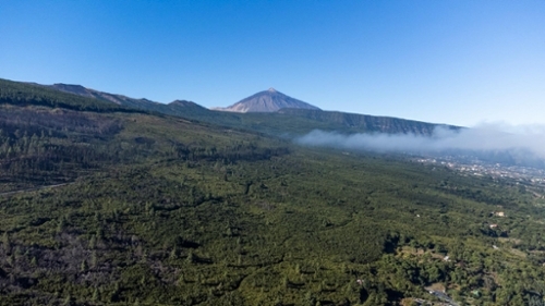 Orotava Palma (La) terrain foto 6321298