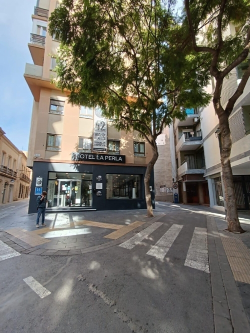 Palmeria Marina Alta tomt foto 6322814