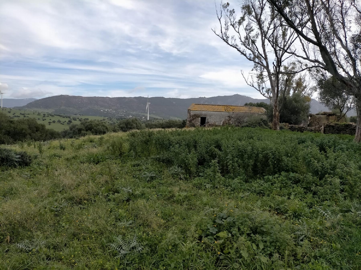  till salu tomt Picadizo Sar 1