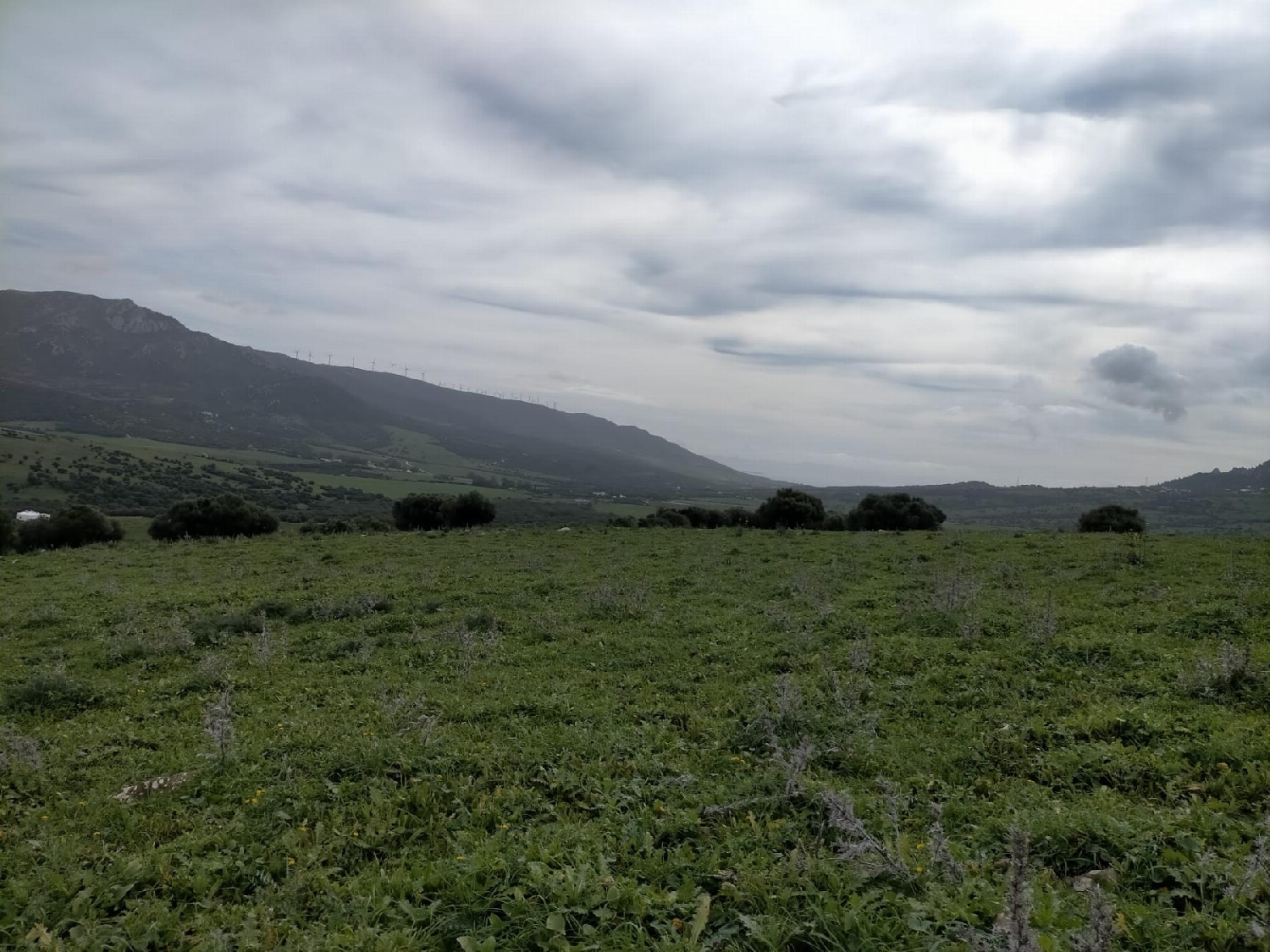  till salu tomt Picadizo Sar 3