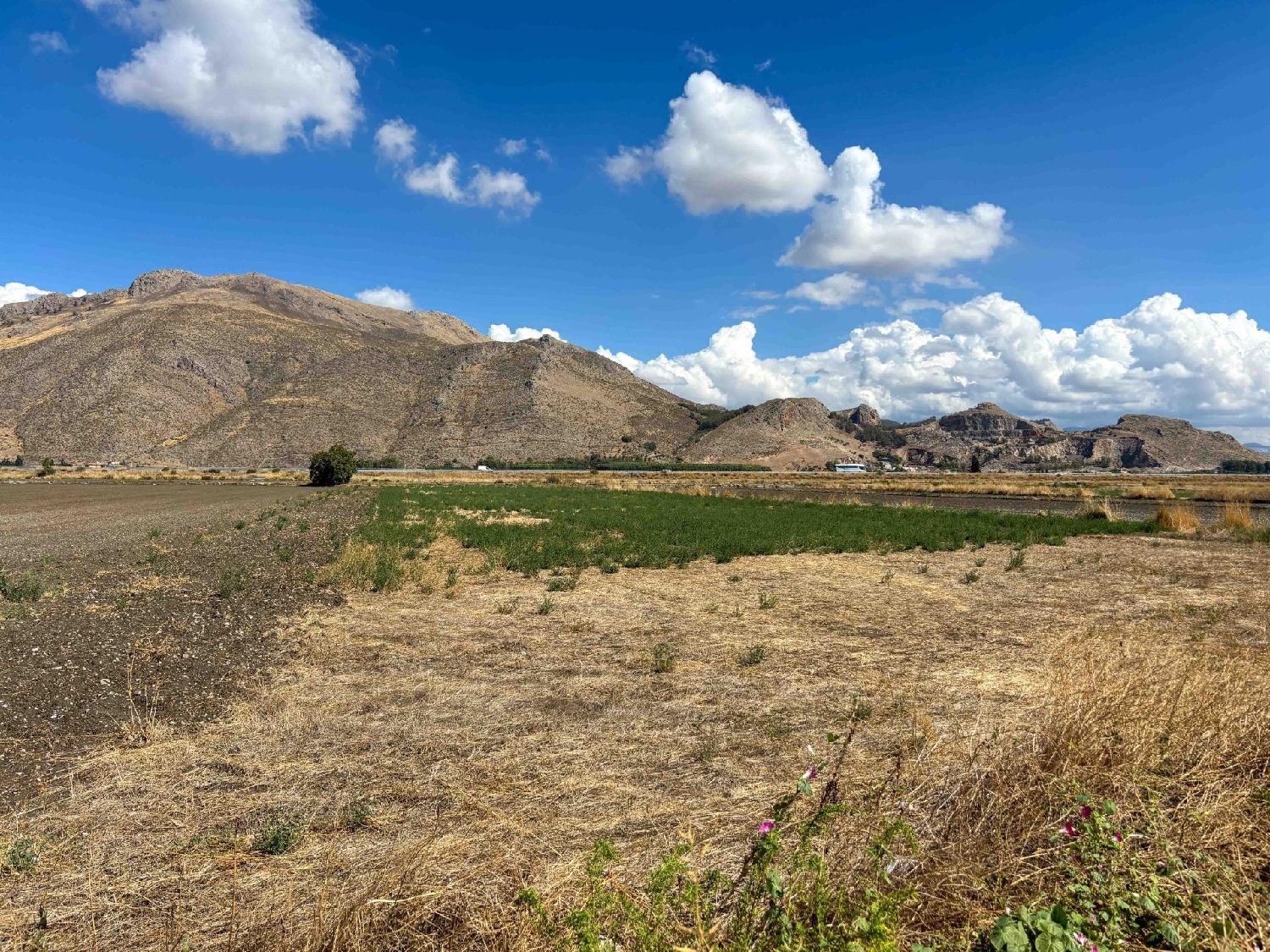 te koop perceel Pinos Puente Vega De Granada 3