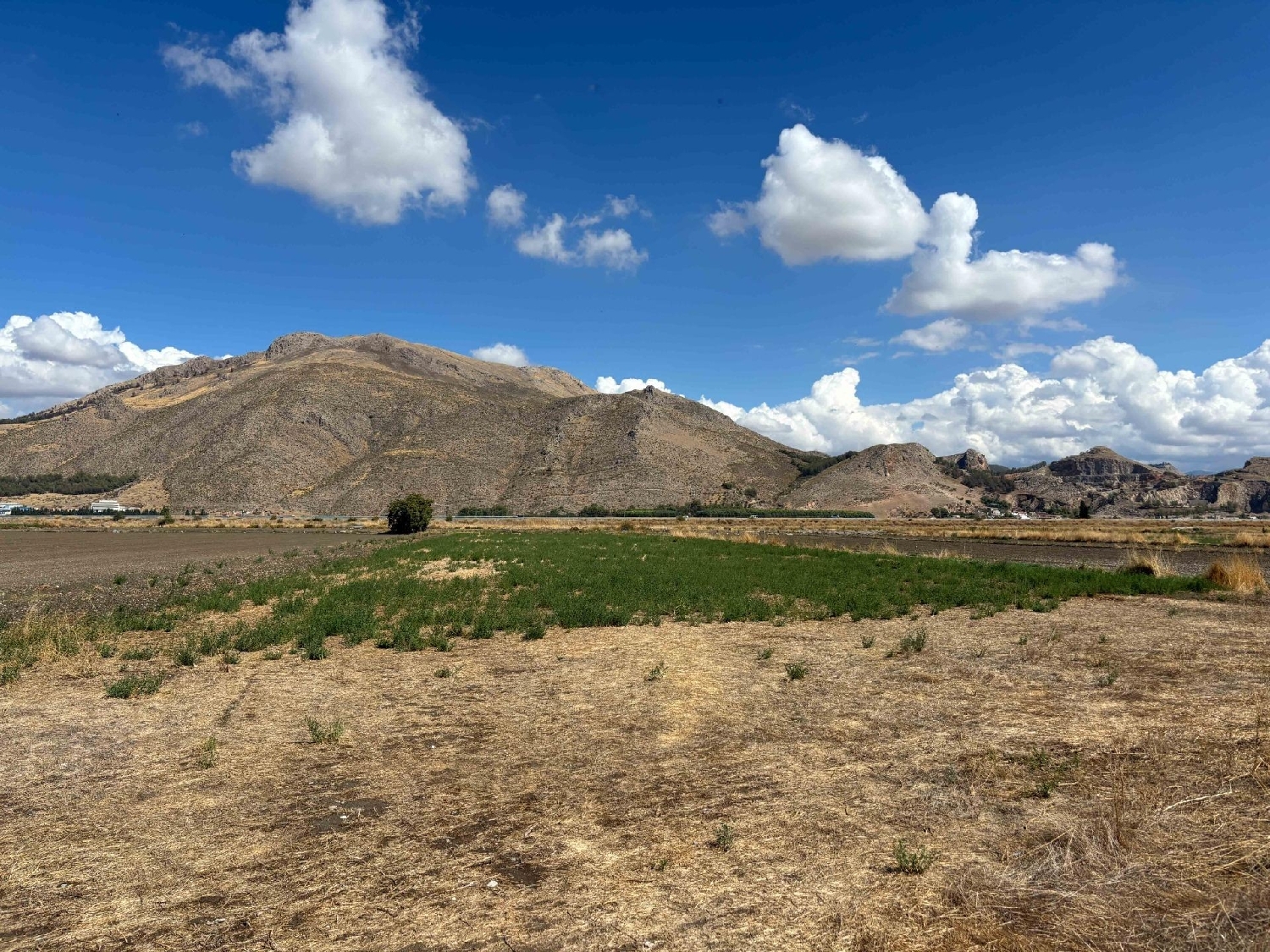 te koop perceel Pinos Puente Vega De Granada 4