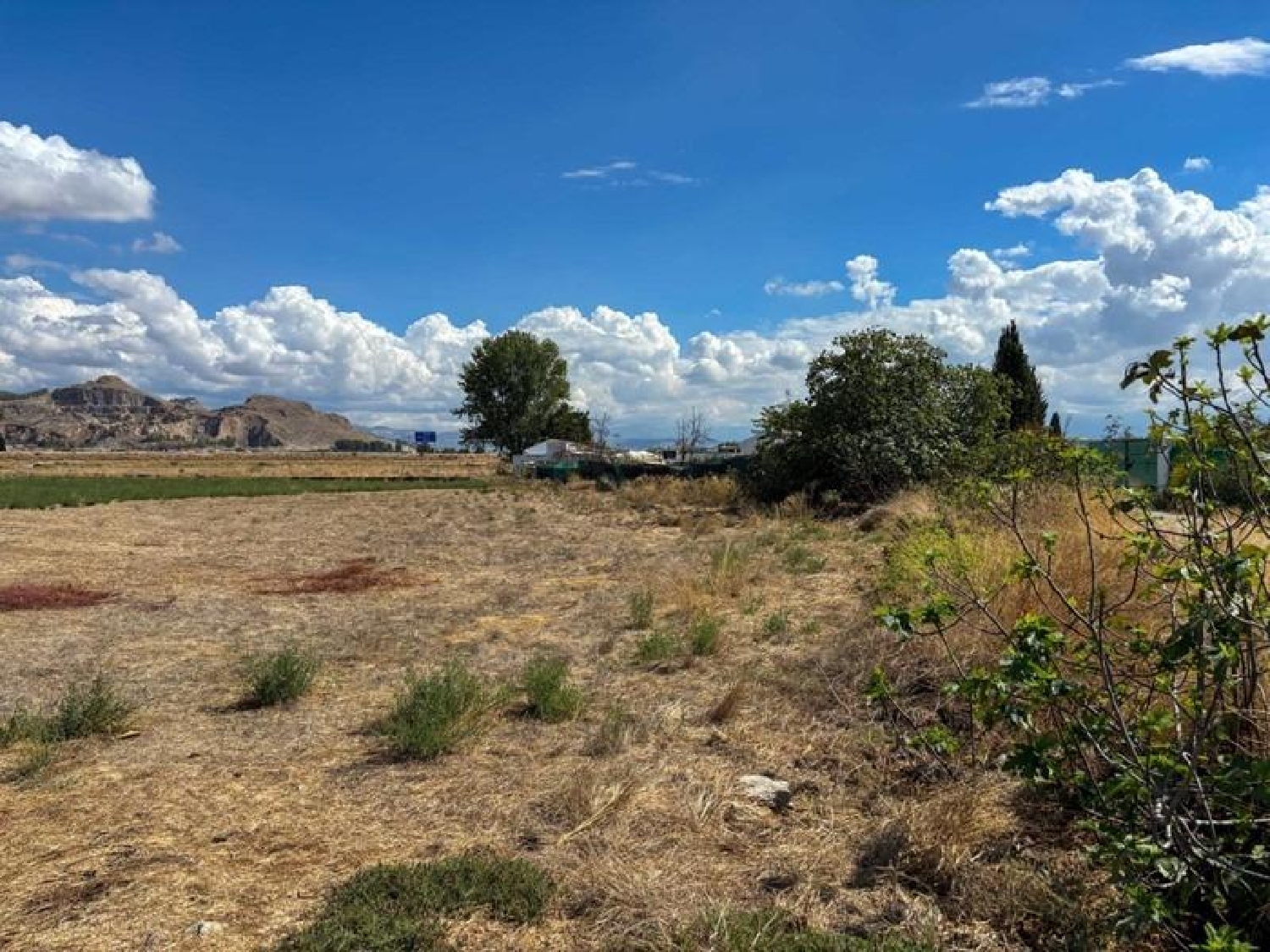 te koop perceel Pinos Puente Vega De Granada 5