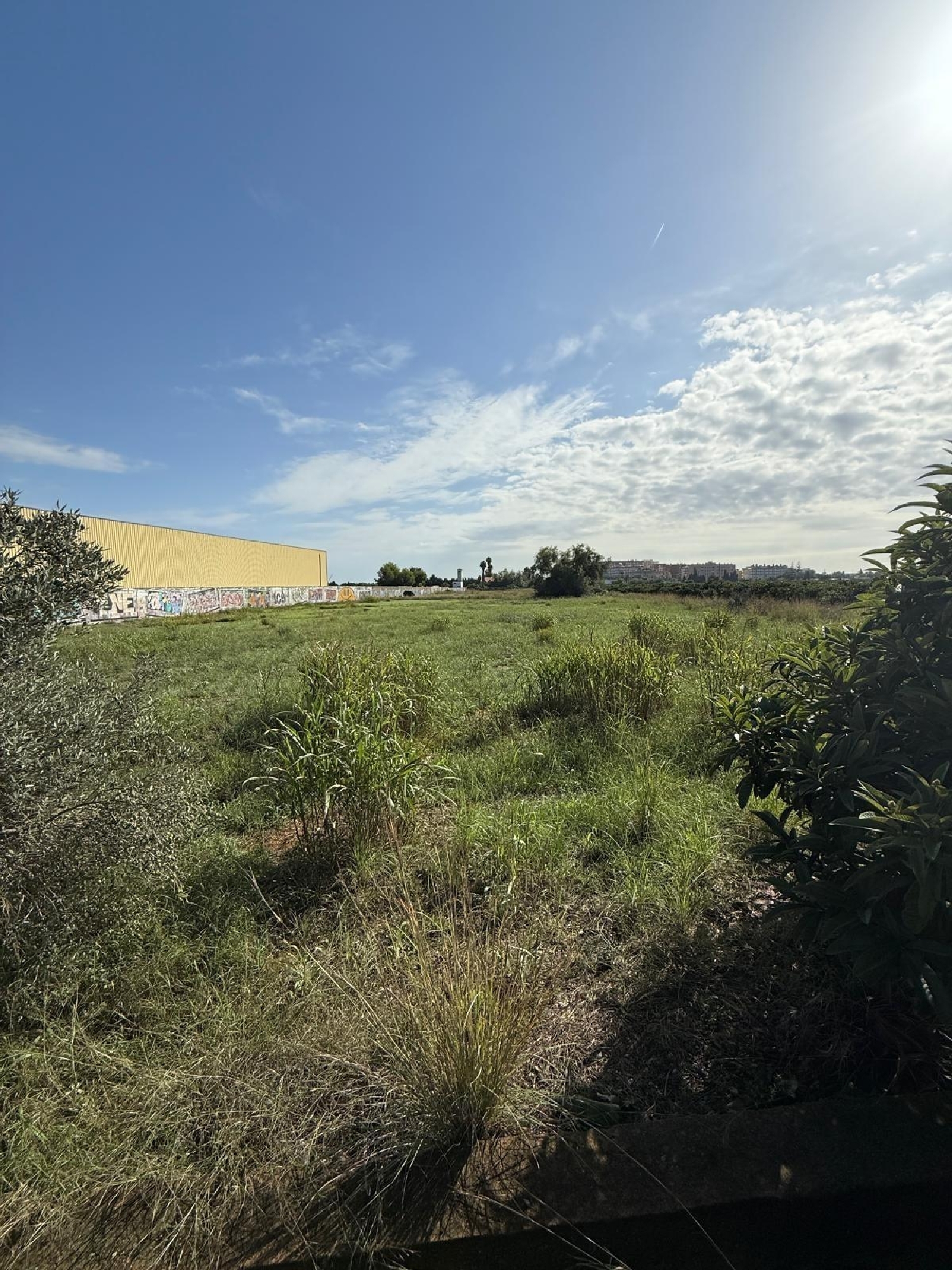 till salu tomt Sagunto Camp De Morvedre 8