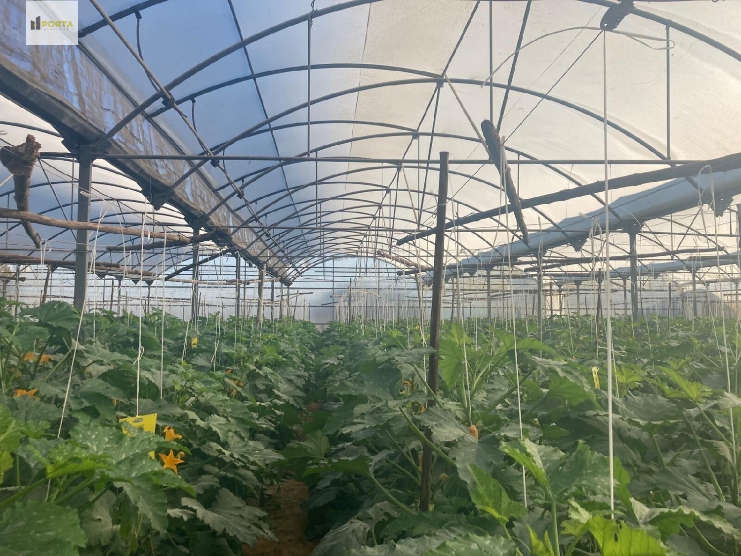  te koop perceel Sanlúcar De Barrameda Costa Noroeste 1