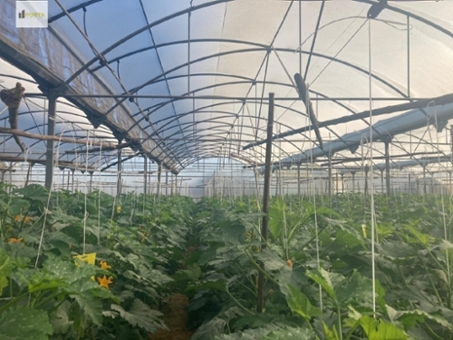 Sanlúcar De Barrameda Costa Noroeste perceel foto 6321405