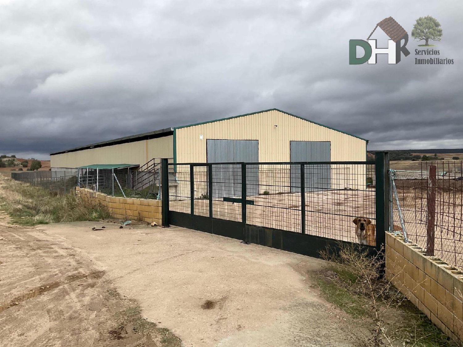  till salu tomt Segovia De Sacedón Campo De Salamanca 2