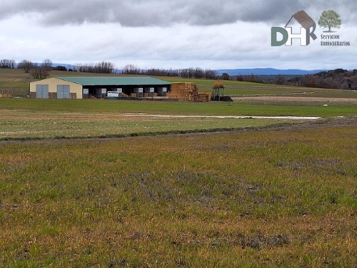 Segovia De Sacedón Campo De Salamanca terrain foto 6323698