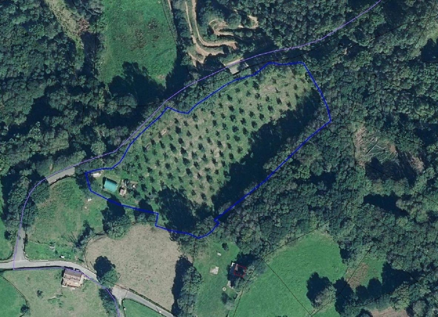  till salu tomt Siero Narcea 4