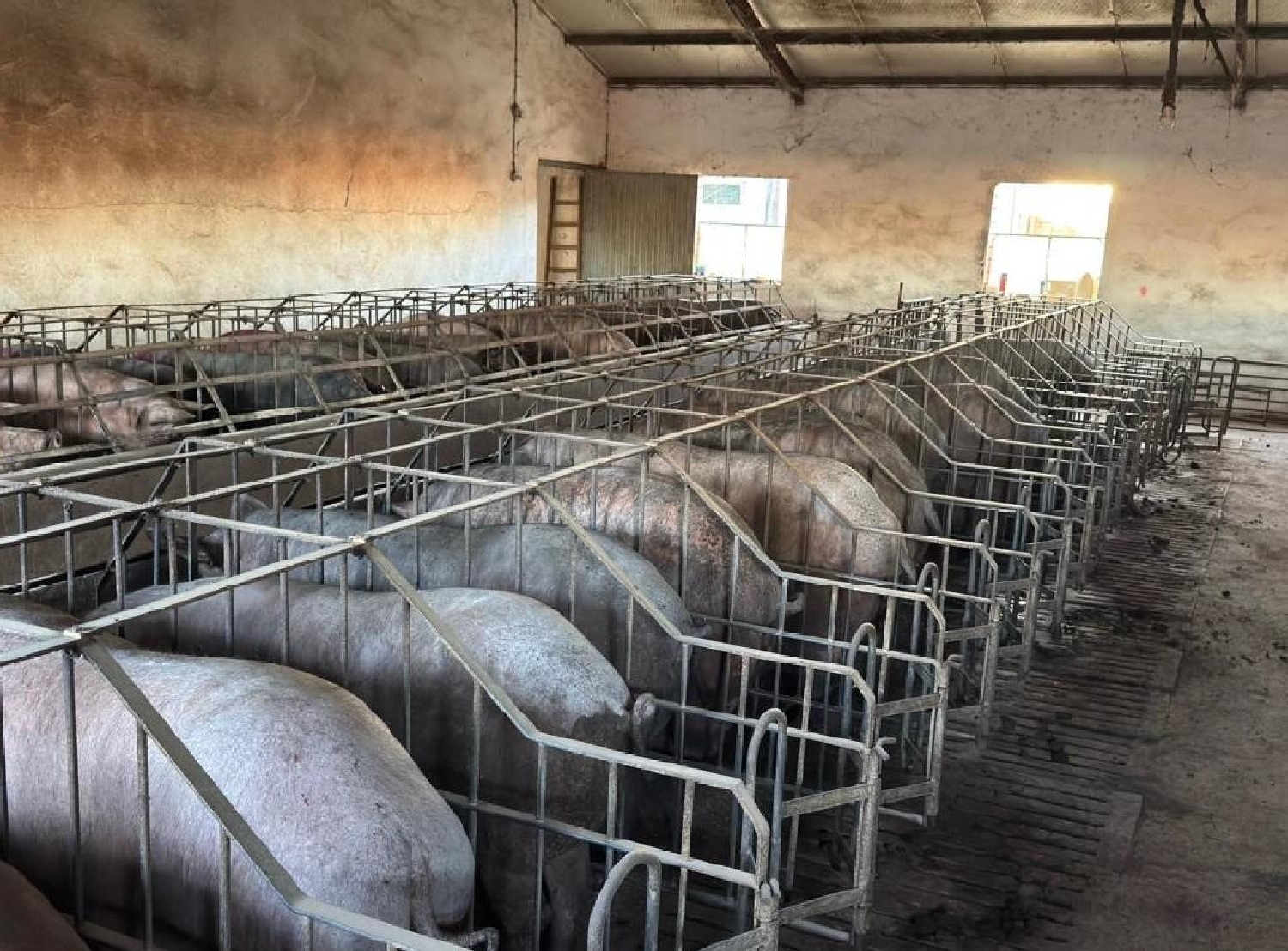  till salu tomt Valladolid Arzúa 1