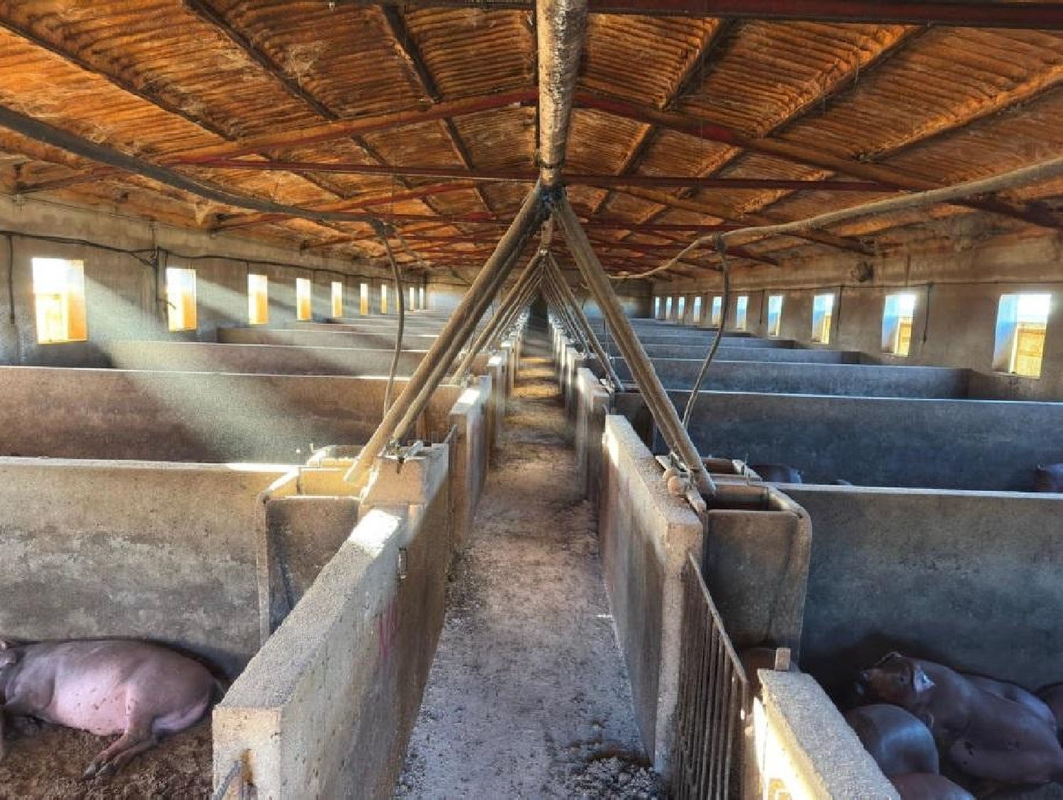  till salu tomt Valladolid Arzúa 5